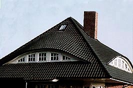 czarny.jpg (21043 bytes)
